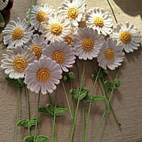 Crochet Daisy Flower