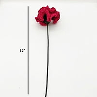 Carnation (Bunch of 6)