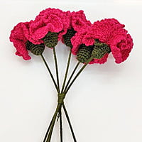 Carnation (Bunch of 6)