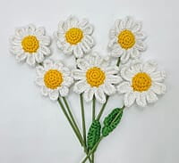 Crochet Small Daisy Flower (Bunch of 6)